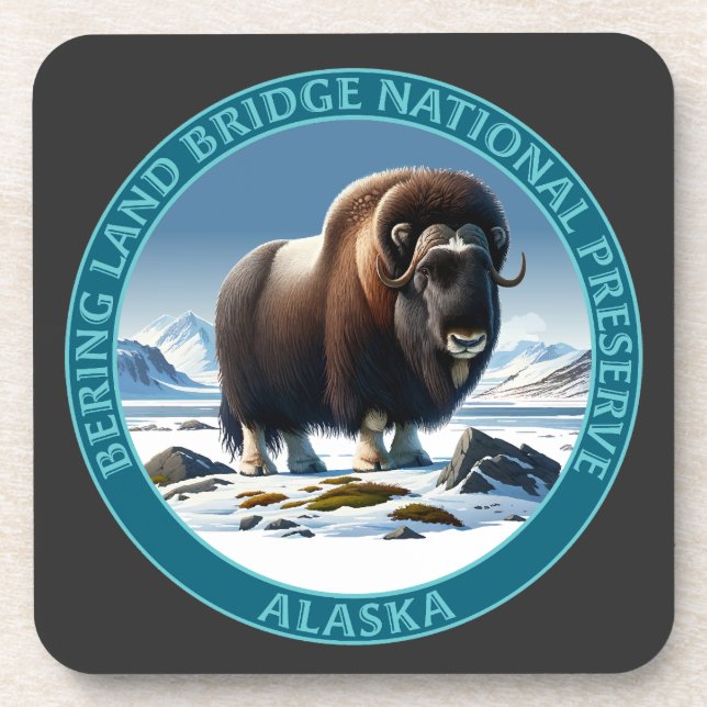 Bering Land Bridge National Preserve Alaska Coaster (Front)