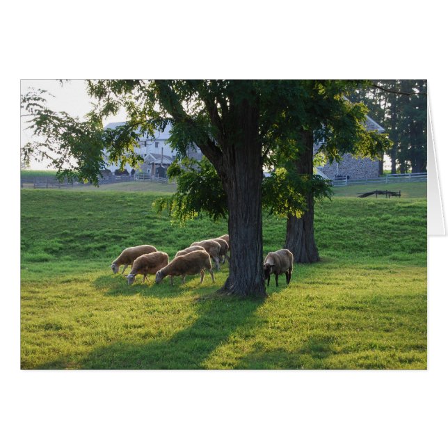 Berks County, Pennsylvania (Front Horizontal)