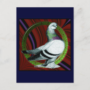 Berliner Pigeon Circle Postcard
