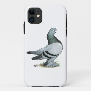 Berliner Tumbler Pigeon Blue Bar iPhone 11 Case