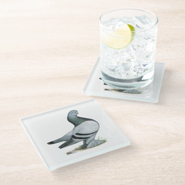 Berliner Tumbler Pigeon Blue Bar Glass Coaster (Angled)