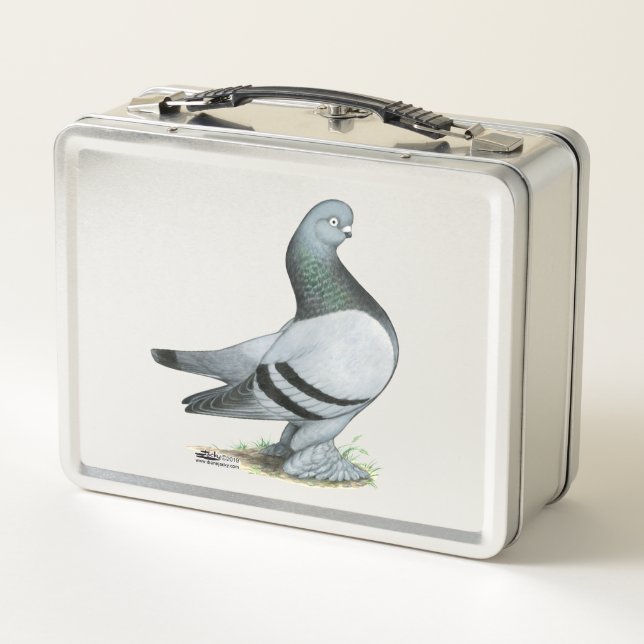 Berliner Tumbler Pigeon Blue Bar Metal Lunch Box (Back)