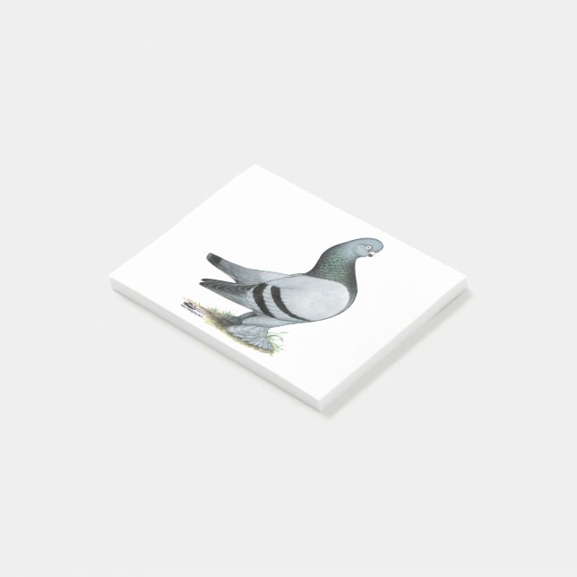 Berliner Tumbler Pigeon Blue Bar Post-it Notes (Angled)