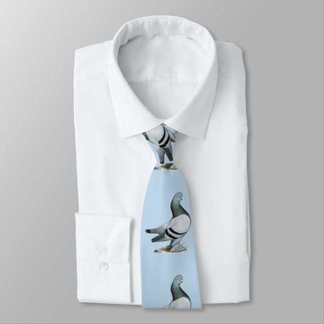 Berliner Tumbler Pigeon Blue Bar Tie (Tied)