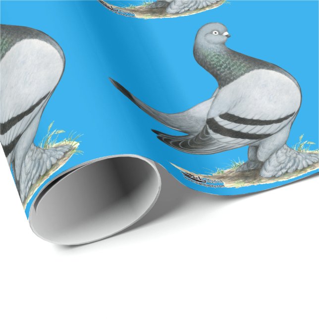 Berliner Tumbler Pigeon Blue Bar Wrapping Paper (Roll Corner)