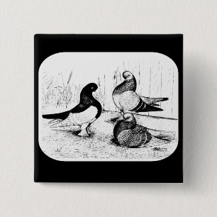 Berliner Tumbler Trio 1980 15 Cm Square Badge