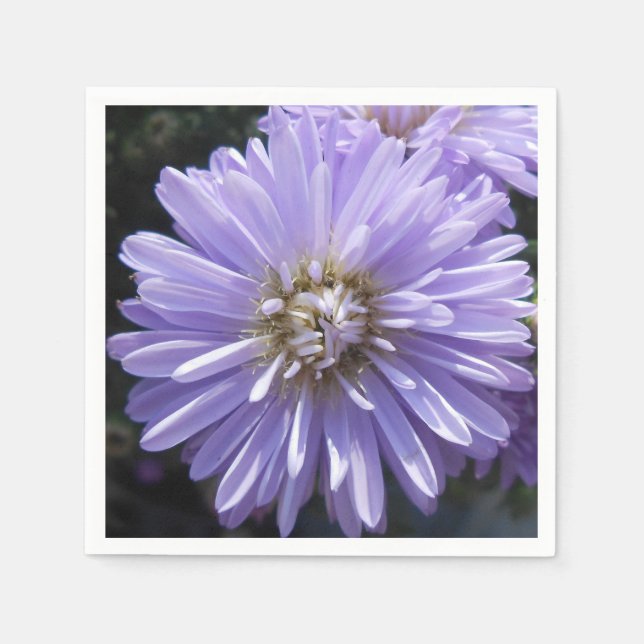 Berlinette Napkin (Front)