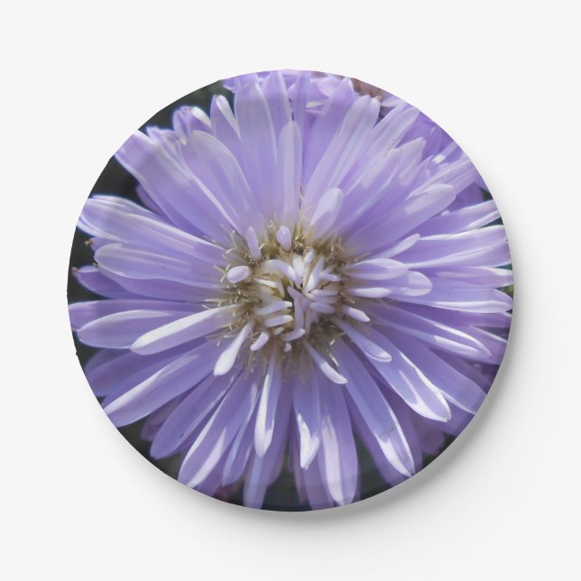 Berlinette Paper Plate (Front)