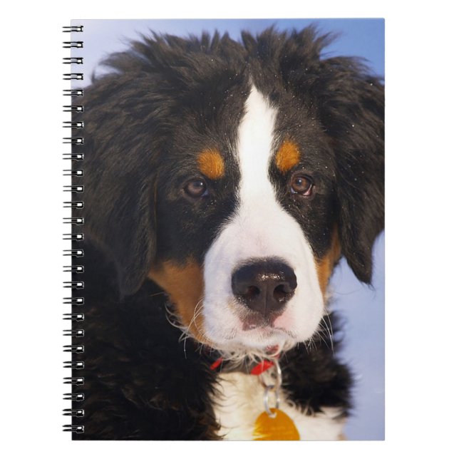 Bermese Mountain Dog Notebook (Front)
