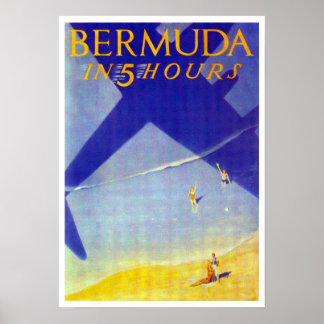 Bermud in 5 hours poster