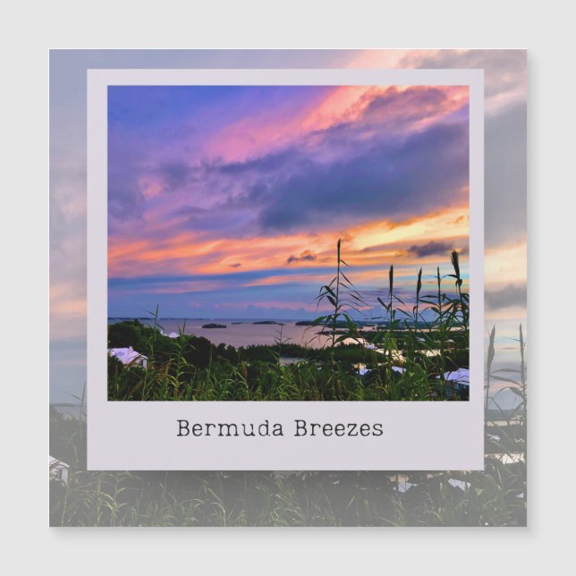 Bermuda Breeze Magnet Card (Front)