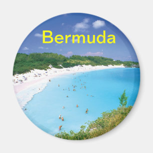 bermuda magnet