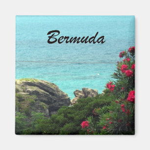 Bermuda Magnet