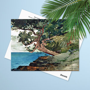 Bermuda Ocean Landscape Winslow Homer Postcard