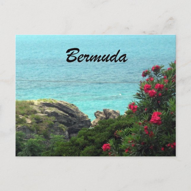 Bermuda Postcard (Front)