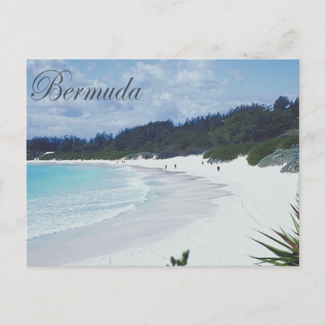 Bermuda Postcard (Front)