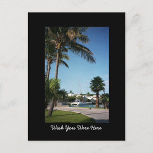 Bermuda Postcard