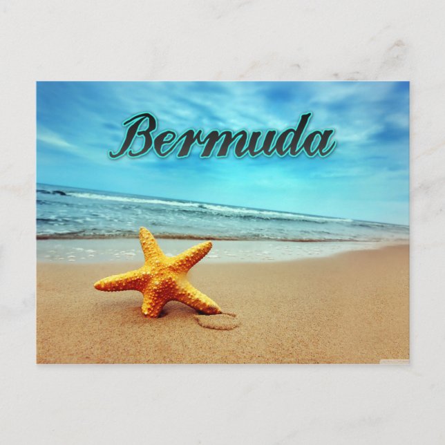 Bermuda starfish postcard (Front)