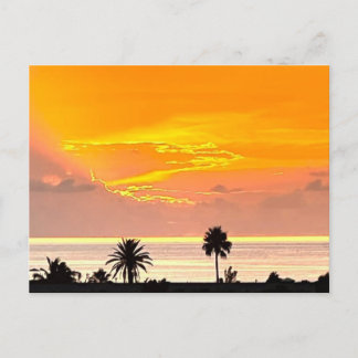 Bermuda Sunset Postcard