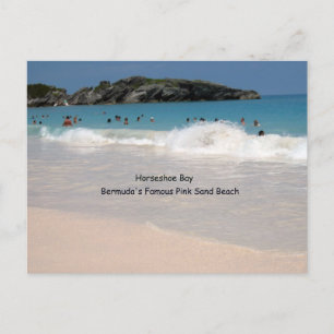 Bermuda's Pink Sand Beach Postcard