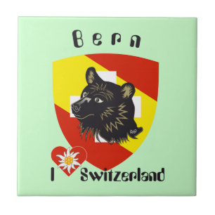 Bern Berne Berna Schweiz Suisse Fliese Tile