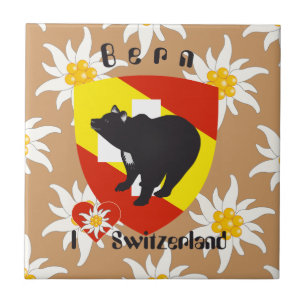 Bern Berne Berna Schweiz Suisse Fliese Tile
