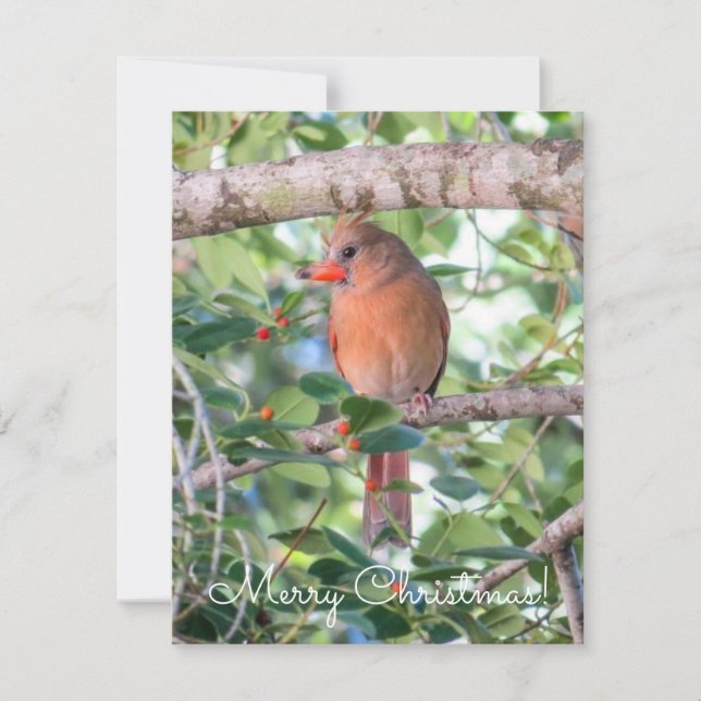 Bernadette Christmas Holiday Card (Front)