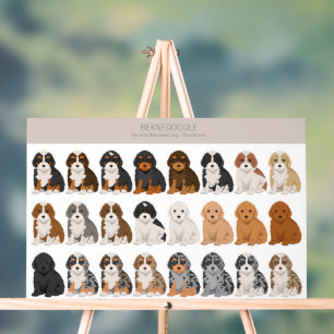 Bernedoodle Acrylic Sign