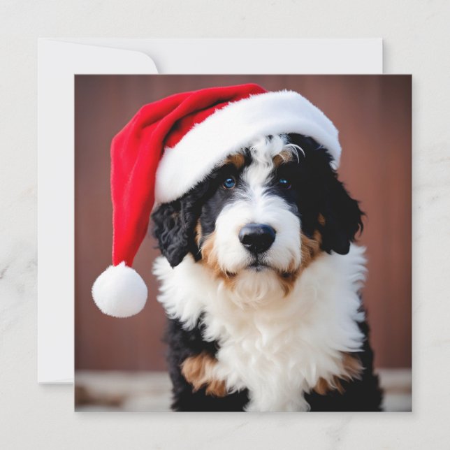 Bernedoodle Christmas (Front)