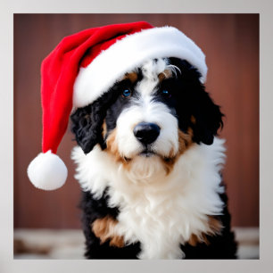 Bernedoodle Christmas Poster
