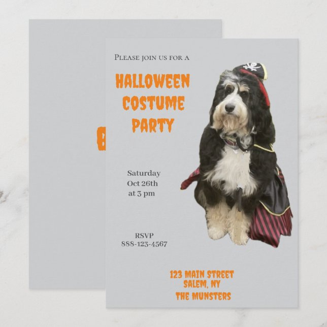 Bernedoodle Dog in Pirate Halloween Costume Party Invitation (Front/Back)