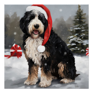 Bernedoodle Dog in Snow Christmas Poster