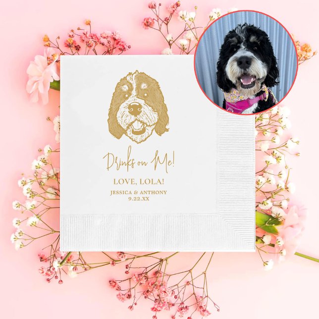 Bernedoodle Dog Personalised Drinks on Me Napkin (Creator Uploaded)