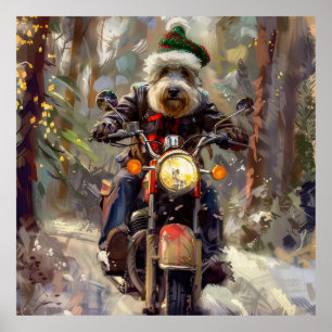 Bernedoodle Dog Riding Motorcycle Christmas  Poster