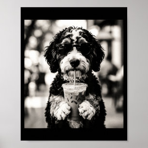 Bernedoodle Iced Coffee Photo Funny Dog Lover Art Poster