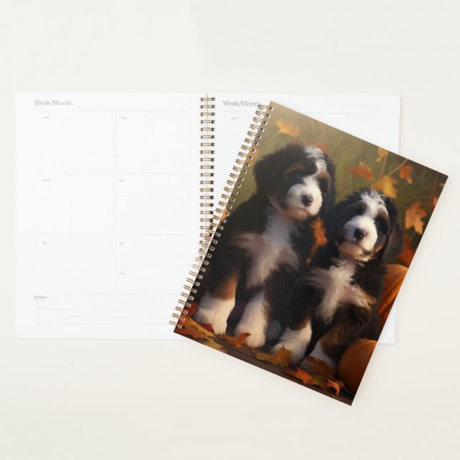 Bernedoodle Puppy Autumn Delight Pumpkin Planner (Display)