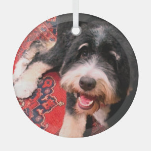 BerneDoodle relaxing on rug Glass Tree Decoration