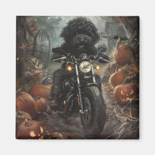 Bernedoodle Riding Motorcycle Halloween Scary Magnet