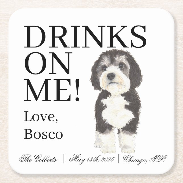 Bernedoodle Sheepadoodle Wedding Square Paper Coaster (Front)