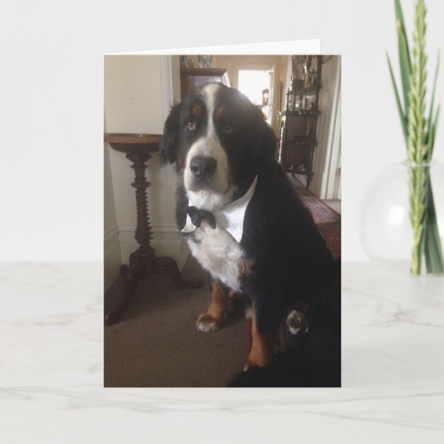 Berner Nation Greeting card (Front)