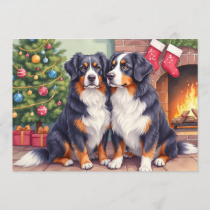 Berner Sennen Christmas Card