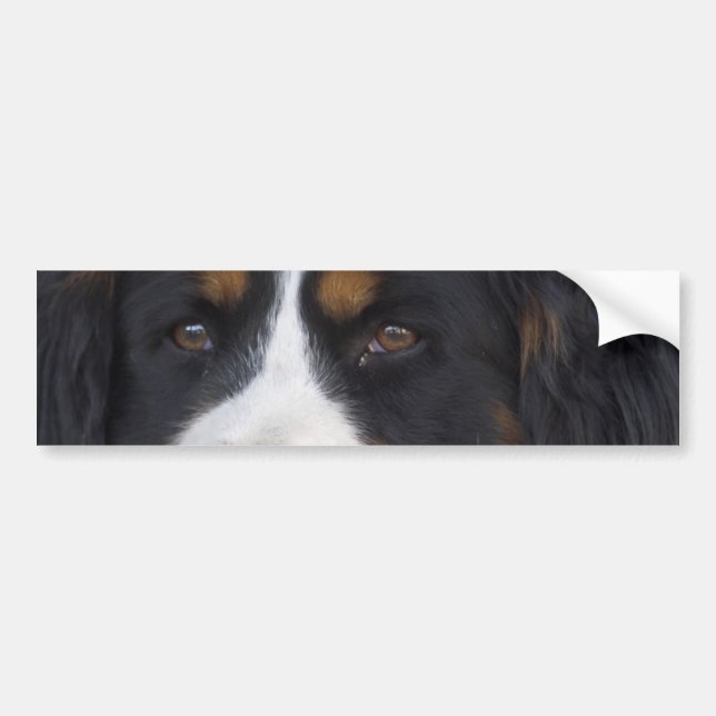 Berner Sennenhund Bumper Sticker (Front)