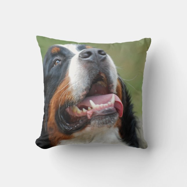 Berner Sennenhund Dog Pillow (Front)