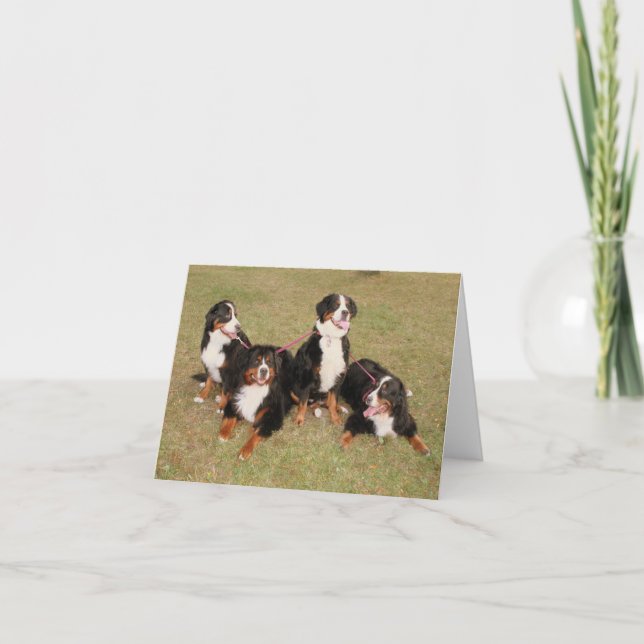 Bernerful Day Note card (Front)