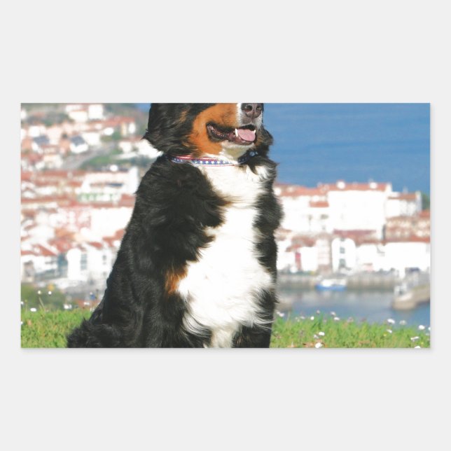 Bernese cattle dog posing at the beach rectangular sticker (Front)