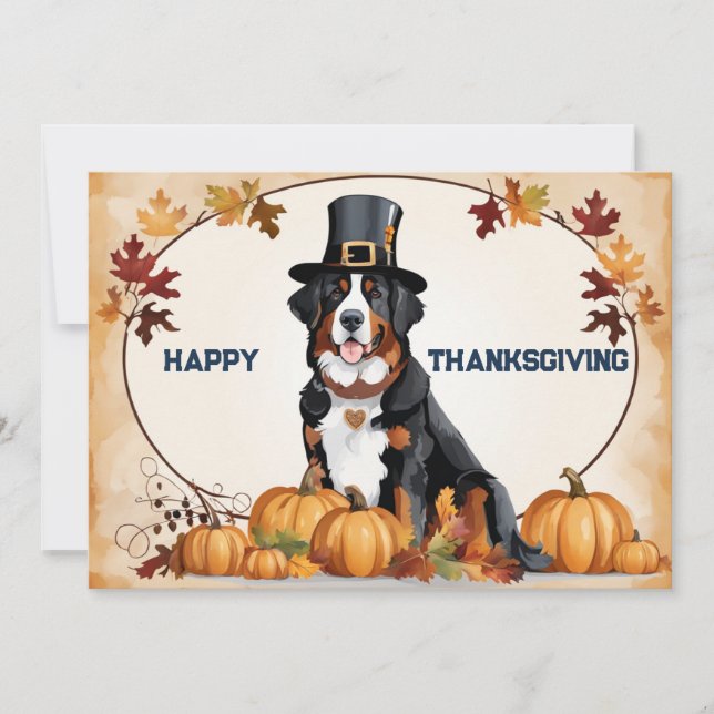 Bernese Dog With Pilgrim Hat Happy Thanksgiving Holiday Card (Front)