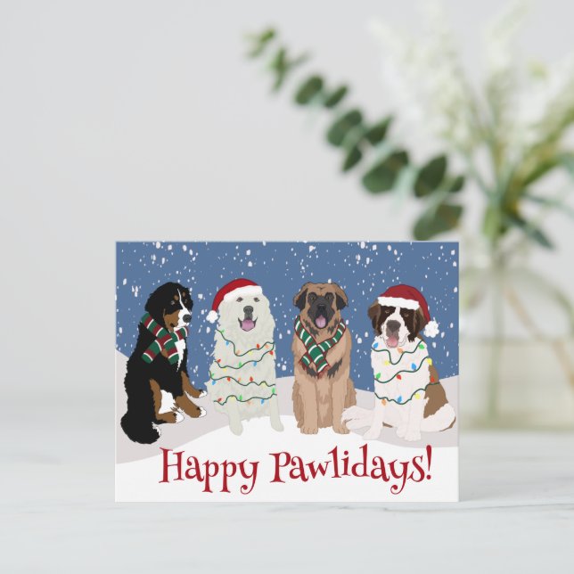 Bernese Leonberger Great Pyrenees Postcard (Standing Front)