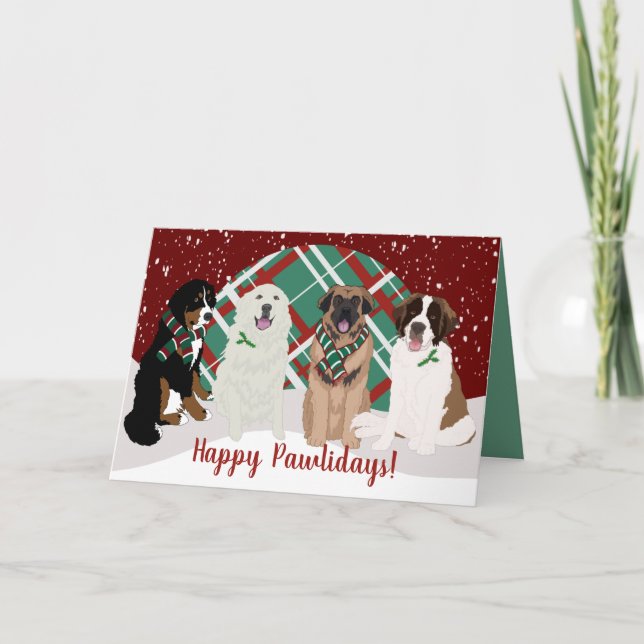 Bernese Leonberger Great Pyrenees St Bernard  Card (Front)