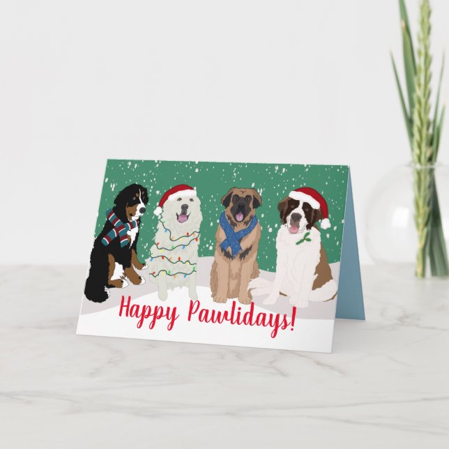 Bernese Leonberger Pyrenees St Bernard  Card (Front)