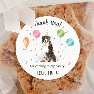 Bernese Mountain Birthday Thank You Classic Round Sticker